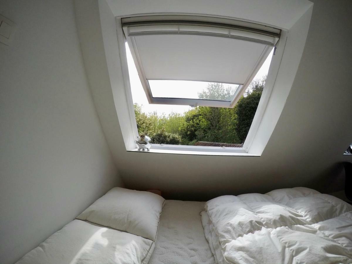 Chaleureux Villa Wenduine Bagian luar foto